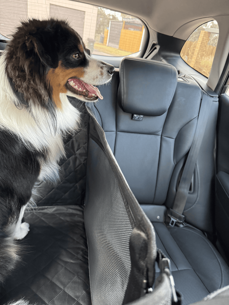 Buddy & Joy Dog Car Hammock in use