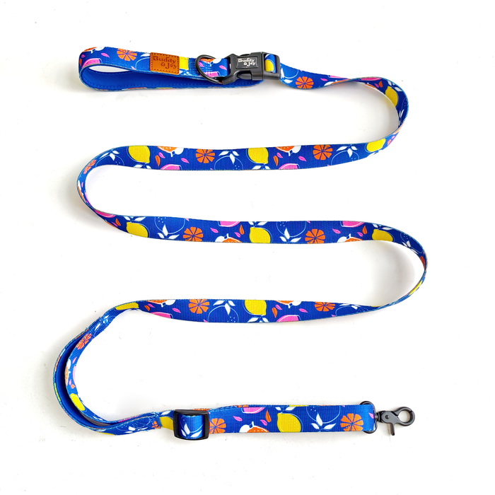 Hands-Free Lead