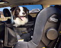 Buddy & Joy Dog Car Hammock product photo