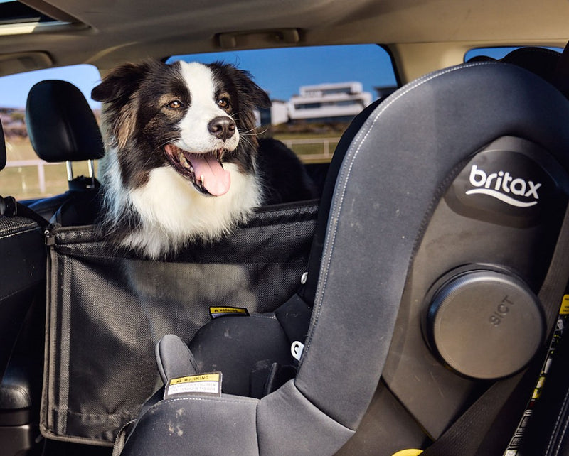 Buddy & Joy Dog Car Hammock product photo