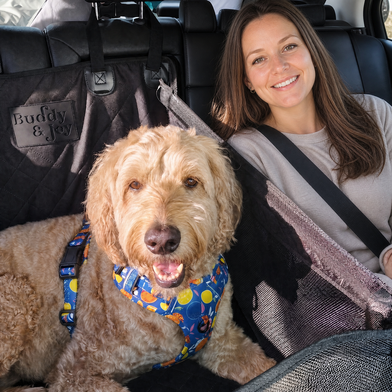 Woman sitting in the back seat beside her groodle in the Buddy & Joy Dog Car Hammock