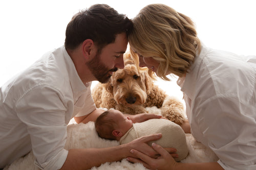 Family First