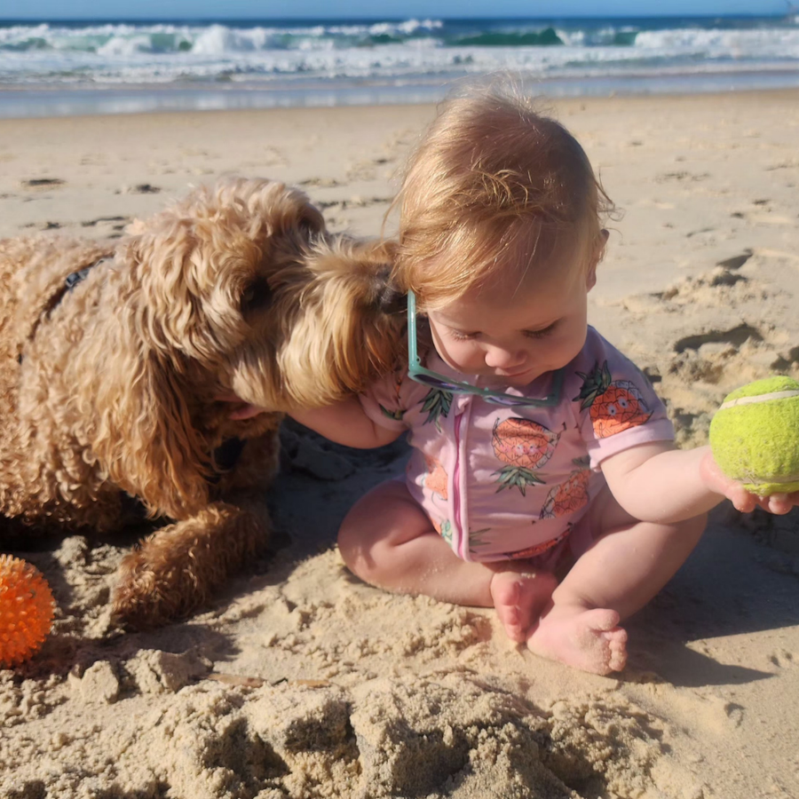 Buddy and Joy, not every dog and child become best friends but calm coexistence is a good outcome