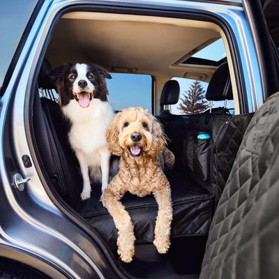 Buddy & Joy