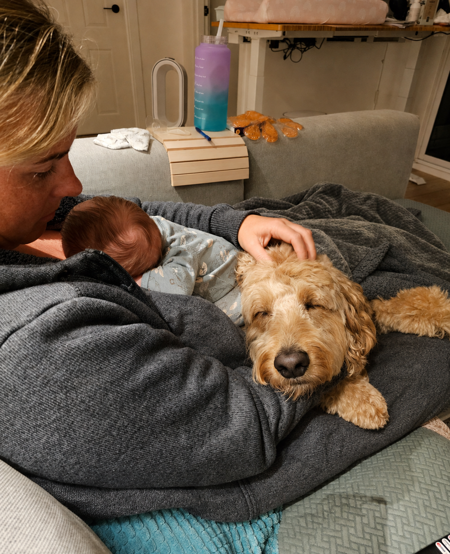 What success looked like for us: a quiet moment with Buddy and Joy