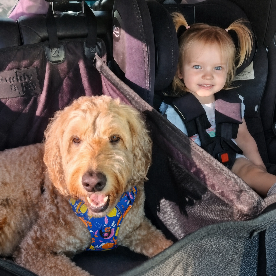 The Buddy & Joy Dog Car Hammock