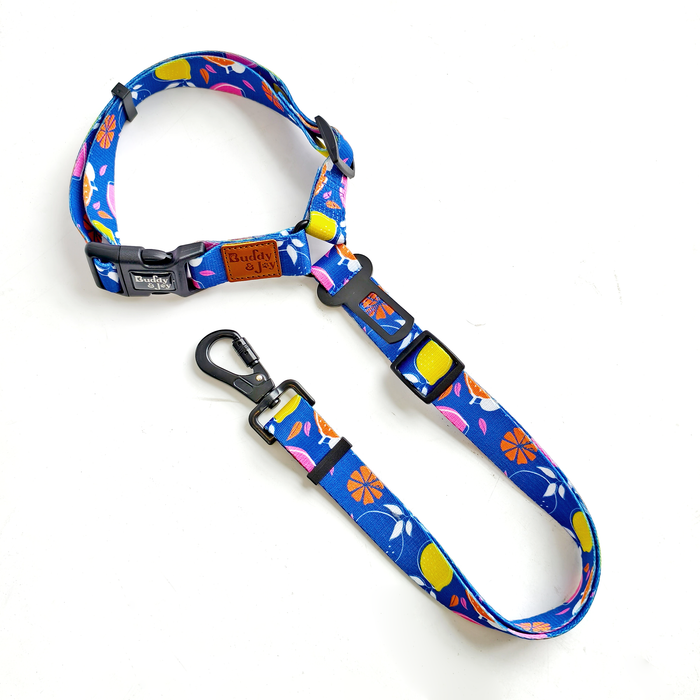 Car Security Lead