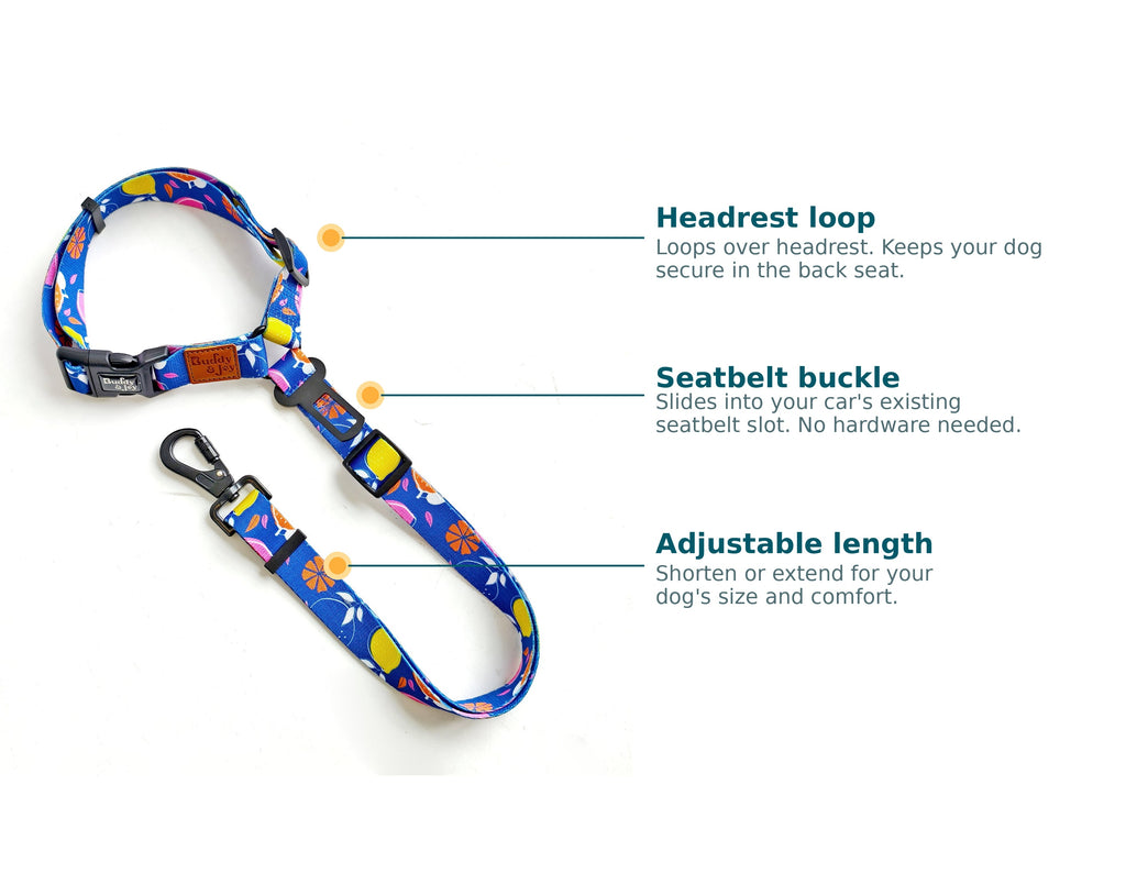 Buddy & Joy Car Security Dog Lead | Zest Collection