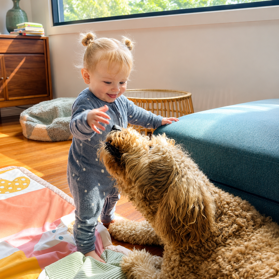 Teaching gentle hands together