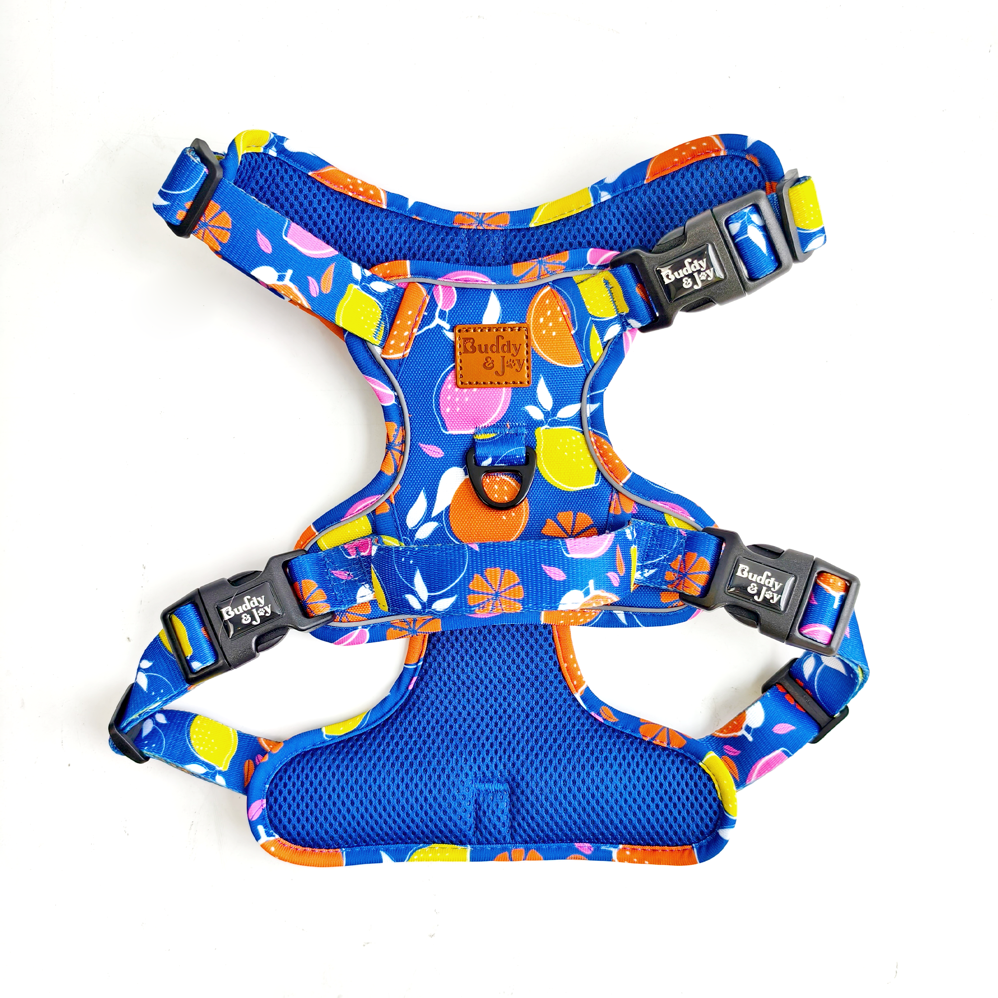 Buddy & Joy Zest Collection Set | Complete 5-Piece Dog Walk Set