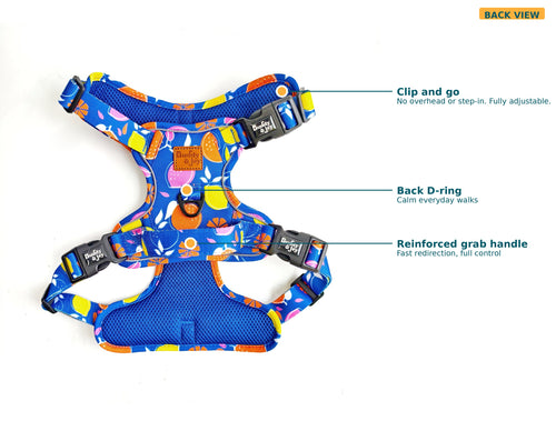 Buddy & Joy Zest Collection no-pull harness back callout showing D-ring, padding and adjusters