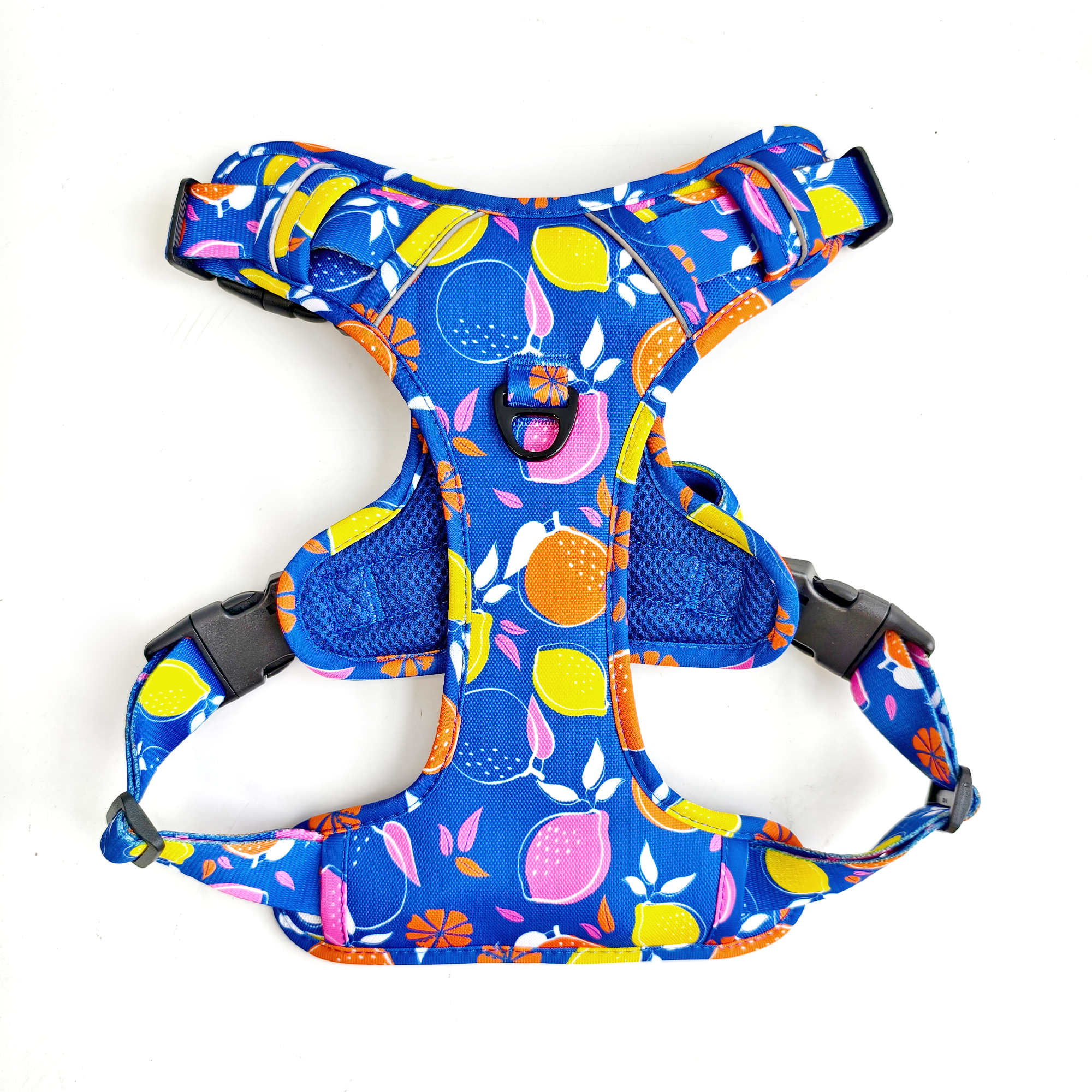 Buddy & Joy Zest Collection Set | Complete 5-Piece Dog Walk Set