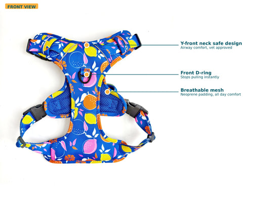 Buddy & Joy Zest Collection no-pull harness front callout showing front clip, grab handle and chest plate