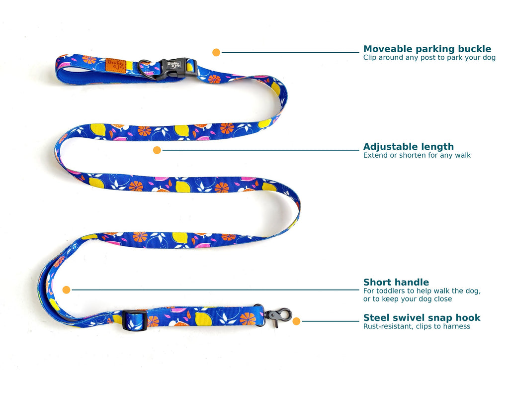 Buddy & Joy Hands-Free Dog Lead | Zest Collection