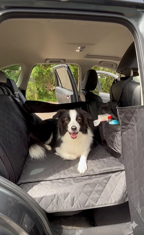 Dog Car Hammock - Mooie UGC. Bordercollie. Solid Base, fits next to baby seat or adult passenger. Integrated doorcover. 