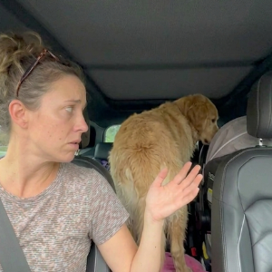 Anxious mum driving with dog loose in back seat, before Buddy & Joy