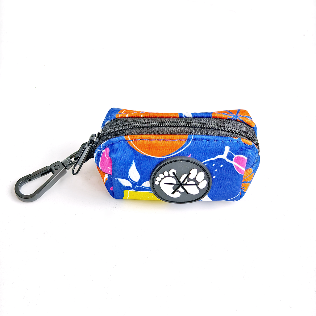 Buddy & Joy Zest Collection Set | Complete 5-Piece Dog Walk Set