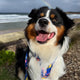 Jett S., Verified Australian buyer