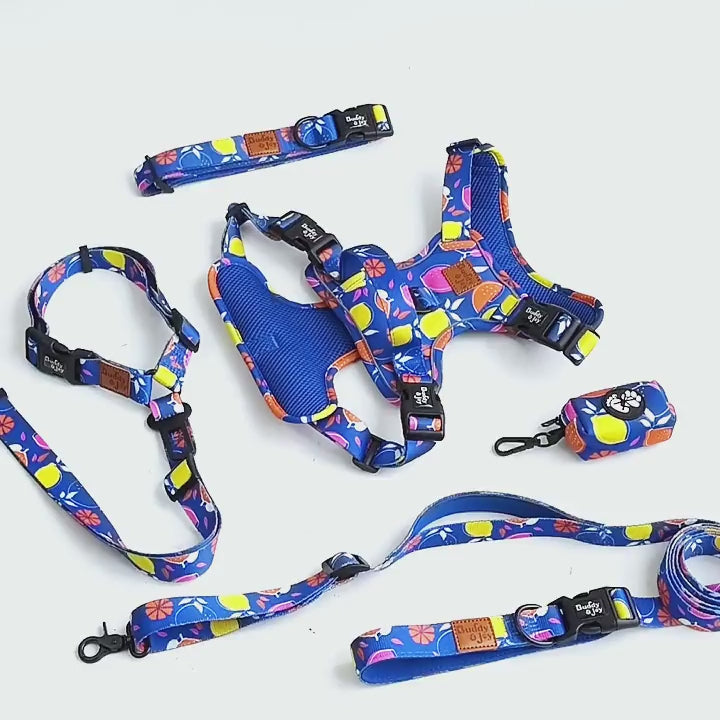 Buddy & Joy Zest Collection Set | Complete 5-Piece Dog Walk Set