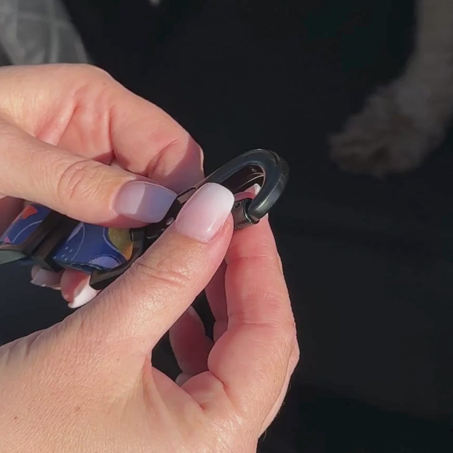 Buddy & Joy Car Security Dog Lead | Zest Collection